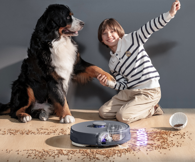 Frame_1312317533_b4c78249-eefc-4458-8d88-ddd9b139b6e7