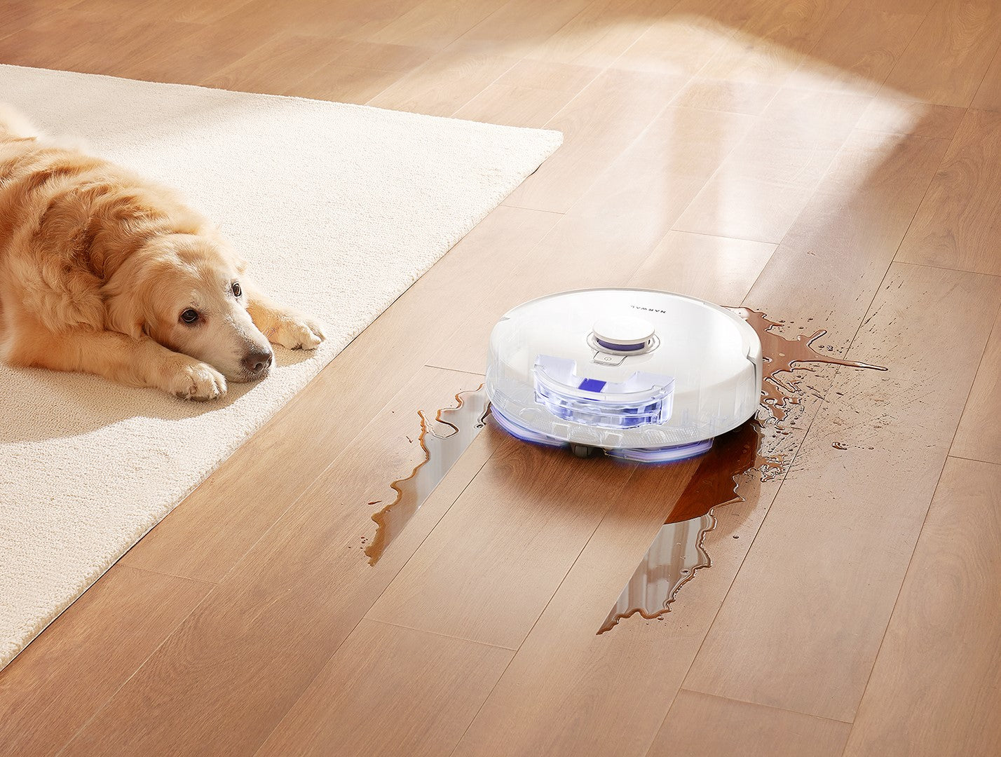 10_57d1b11a-9446-401d-a156-5c1bbfa54d2e