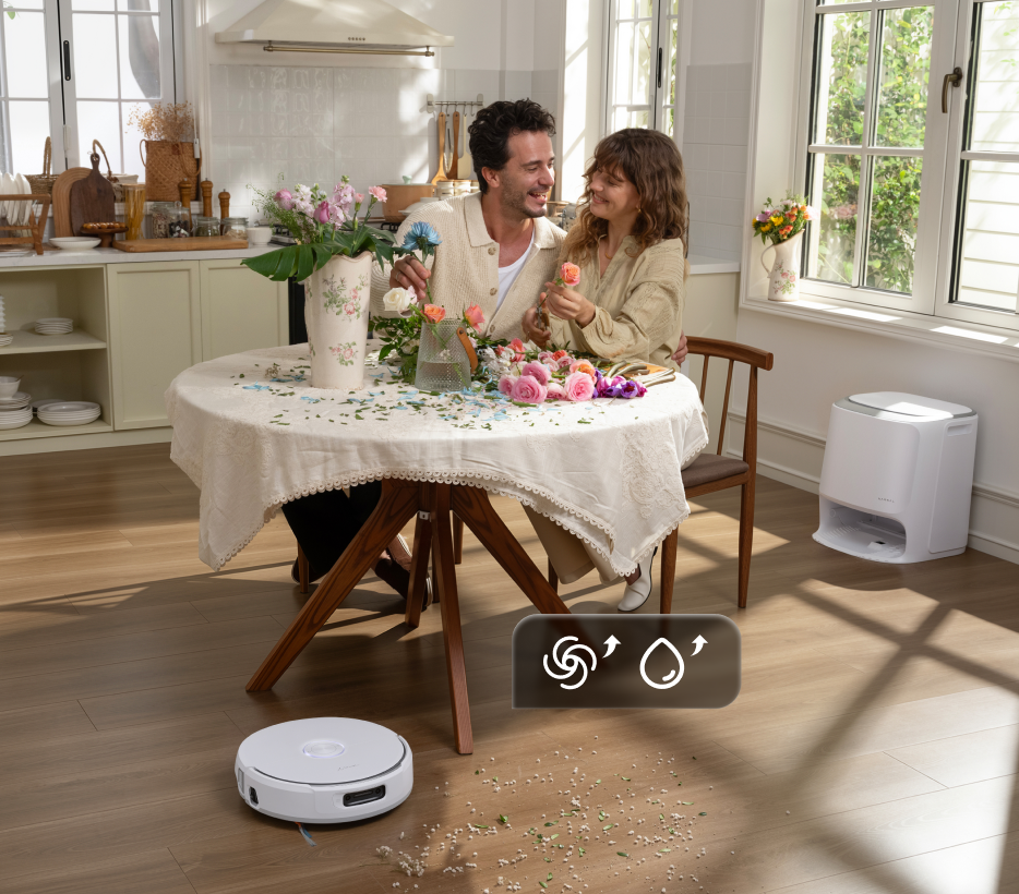 Nettoyage en un clic Freo Mind