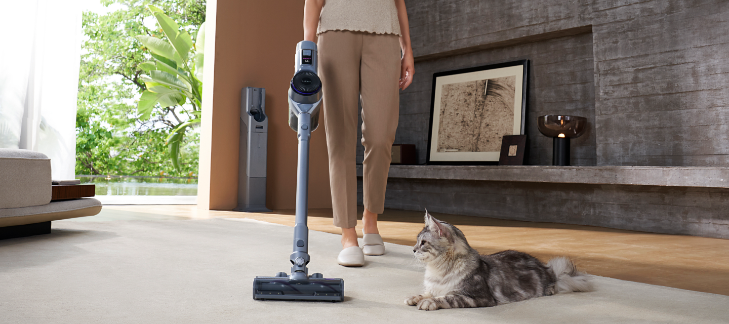 PC_50ea1adb-9a90-40fa-a2ed-7a530cbaa5e4