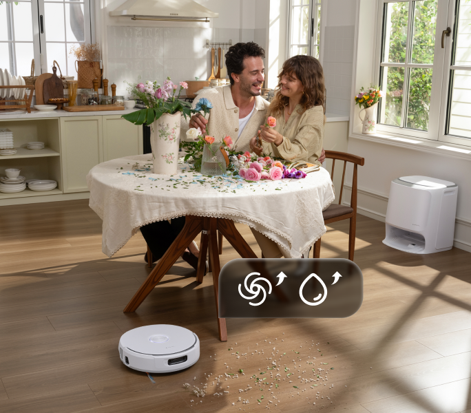 Nettoyage en un clic Freo Mind