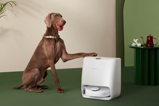 narwal-milestones-2021